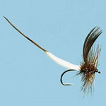 Latex Mayfly / Daddy Bodies - MAY